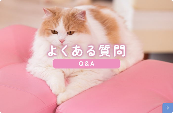 よくある質問 Q&A